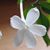 Diana Steele Nelson's profile image