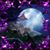Ian Sunrise Wolfe's profile image