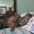 Ofelia Marin's profile image