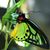 Munira Sadruddin's profile image