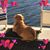 Patricia Sharp's profile image