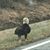 Becky Peirson's profile image