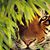 Linda Wallendal's profile image