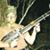 Sherry Dandurand's profile image