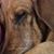 Carole Smith's profile image