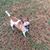 Betty D. Lafferty's profile image