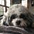 Heather Osborne Martin's profile image