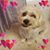 Ann Knuijt's profile image