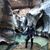 Serai Furlong's profile image