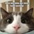 Lorilee Royael's profile image