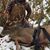 Jason Gruner's profile image