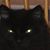 Elizabeth Schmoopie's profile image