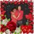 Yolanda Martin-Scott's profile image