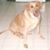 Judy Davidson's profile image