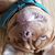 Alie Knopf's profile image