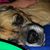 Kevin Patrick's profile image