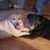 Lori L Palmore's profile image