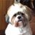Leigh Ann Corbin's profile image
