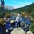 Danielle Vickery-Keating's profile image