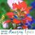 Janet Lebeck Janovich's profile image