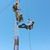 Jose Luis Sandoval's profile image