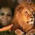 Darlene MrsAuthenic's profile image