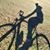 Gregory Surbeck's profile image