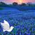 Alexis Alwood's profile image