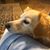 Kathy Moore's profile image