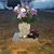 Mystie Bates Steward's profile image