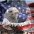JW BigPoppa Kurtak Sr.'s profile image