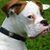 Karen Bohn's profile image