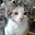 Sally Dollhoff's profile image