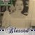 Andrea Torres Davis's profile image