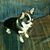 Mary Ellen Jackson's profile image