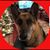 Chris Kuehl's profile image