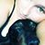 Samantha Hulgin's profile image