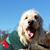 Donna Warden's profile image