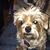 Linda Sopiak's profile image
