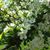 Pamela Dean DeWolf's profile image