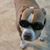 Seth Danneman's profile image