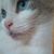 Kati Gingras's profile image