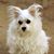 Charlene Reed's profile image