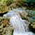 Kimberly Dawn Brown's profile image