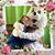 Jenanne Walk-Kalvaitis's profile image