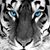 Heather Nelson's profile image