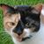 Mary Marjorie Shaw's profile image