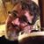 Matthew Coglianese's profile image