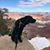 Ebby Thacher's profile image
