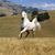 Gyongyver Szekely's profile image